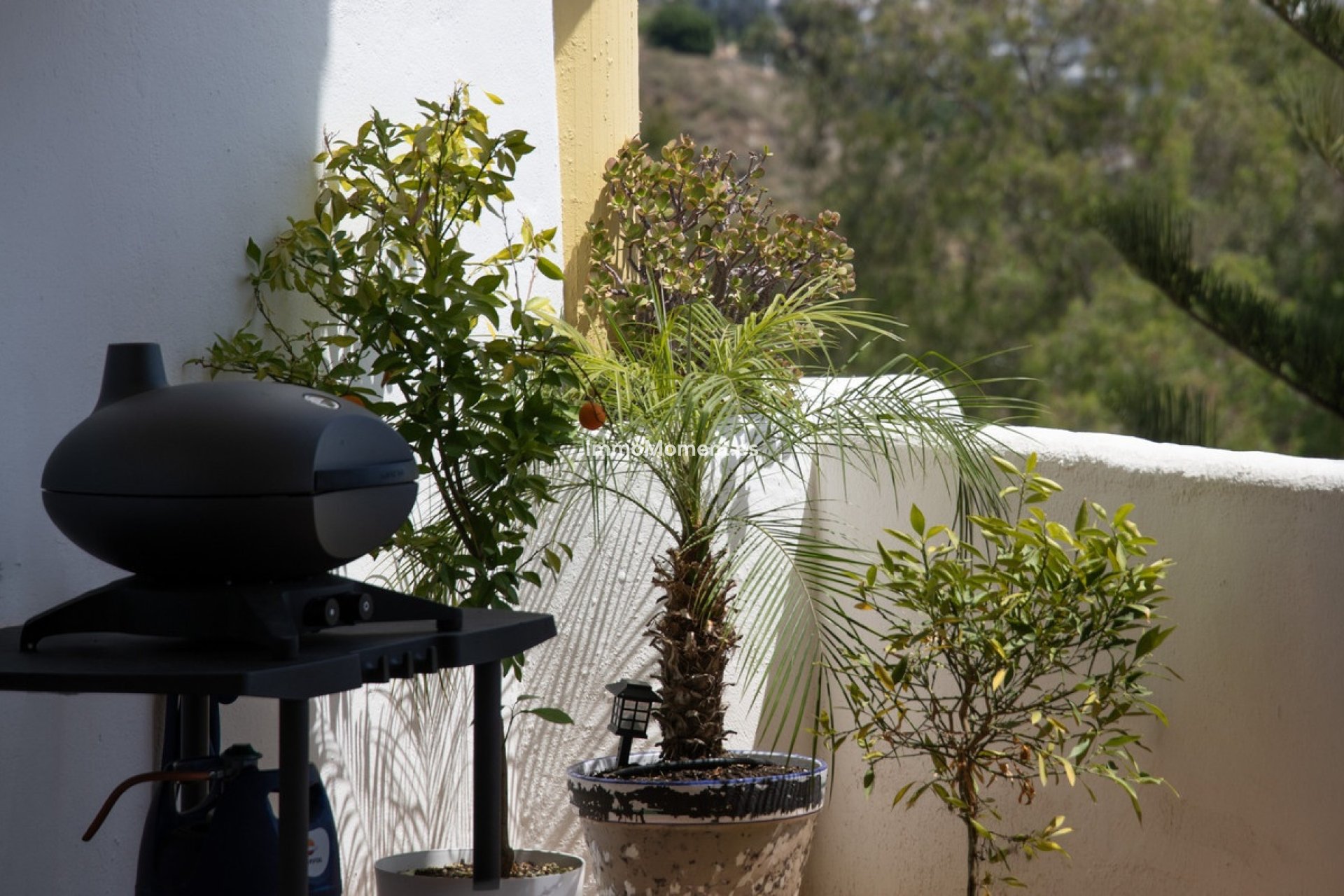 Wiederverkauf - Wohnung - Mijas - Calahonda