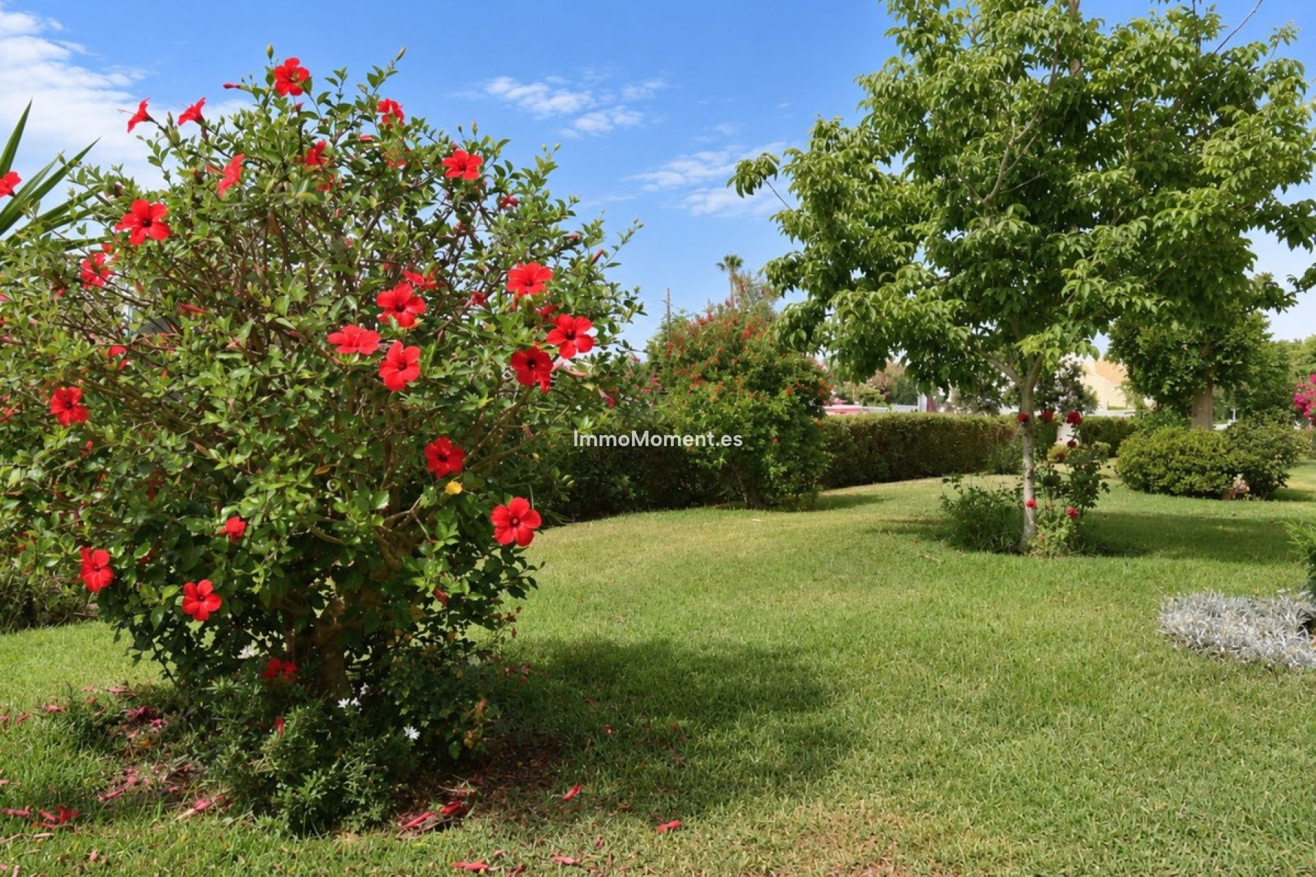 Wiederverkauf - Wohnung - Mijas Costa - El Chaparral