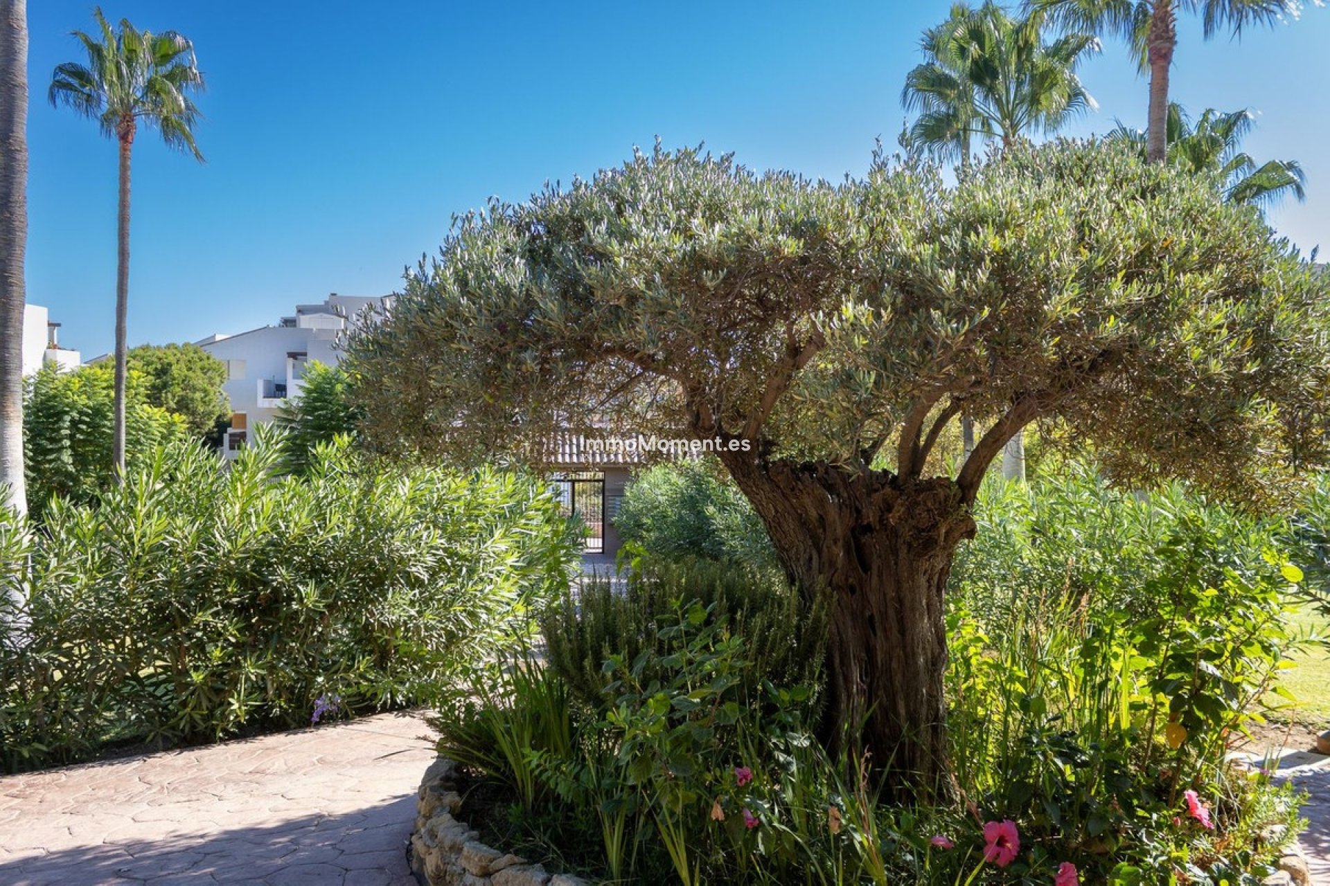 Wiederverkauf - Wohnung - Mijas Costa - La Cala de Mijas