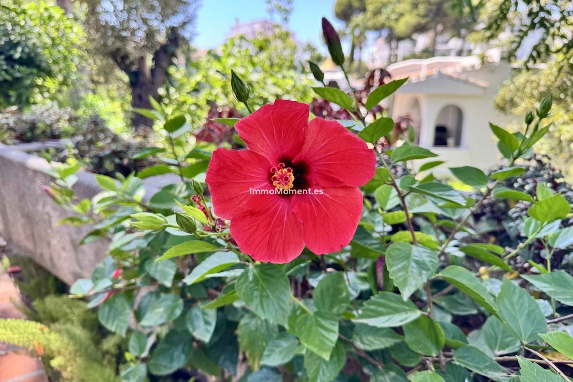 Wiederverkauf - Wohnung - Mijas Costa - Riviera Del Sol