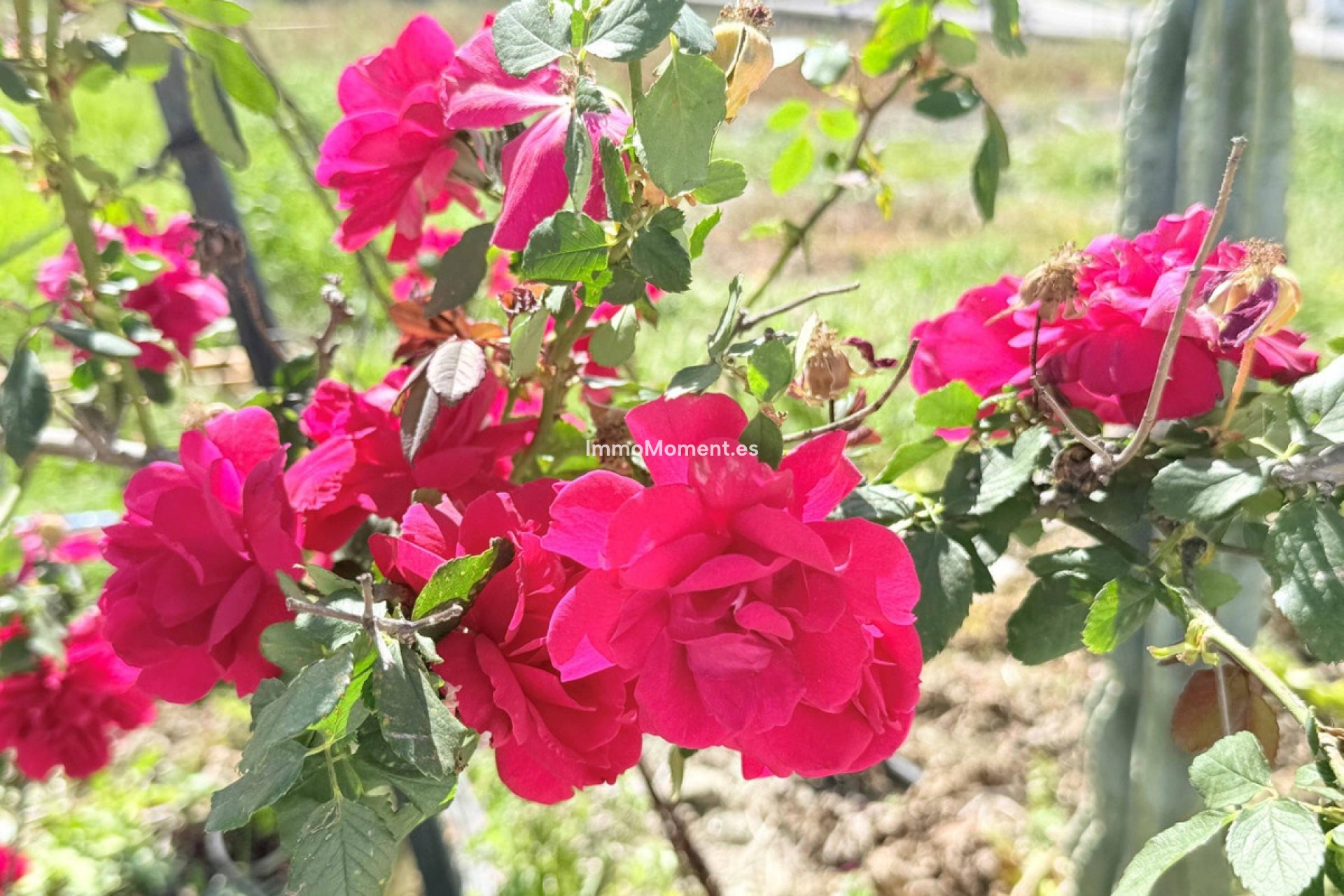 Wiederverkauf - Wohnung - Mijas - Mijas Centro