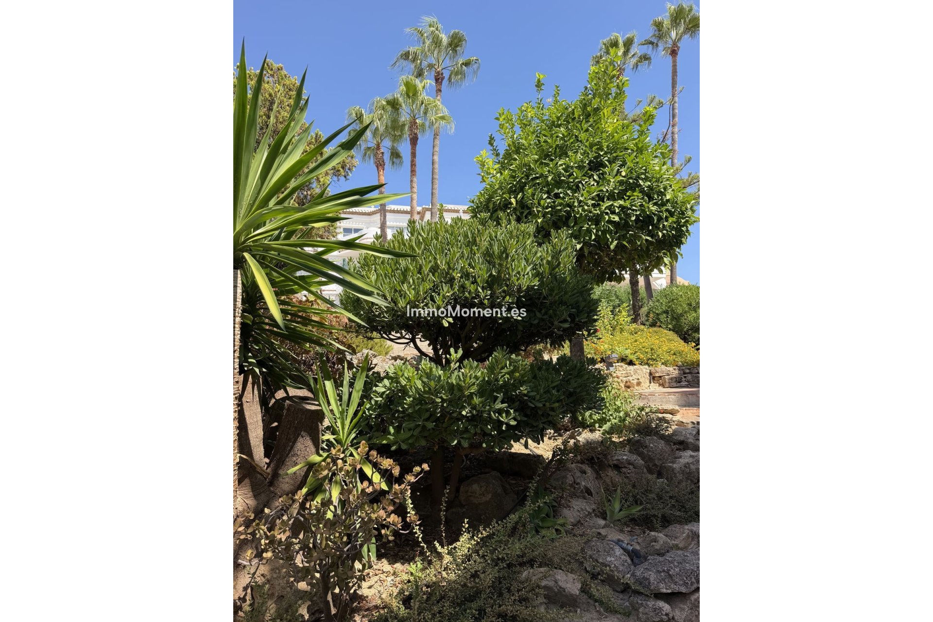 Wiederverkauf - Wohnung - Mijas - Mijas Golf