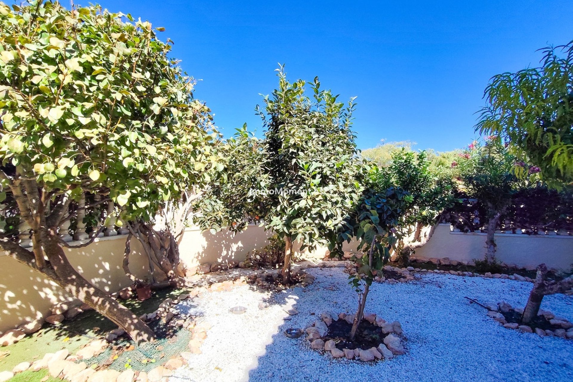 Wiederverkauf - Wohnung - Orihuela Costa - Cabo roig - La Zenia