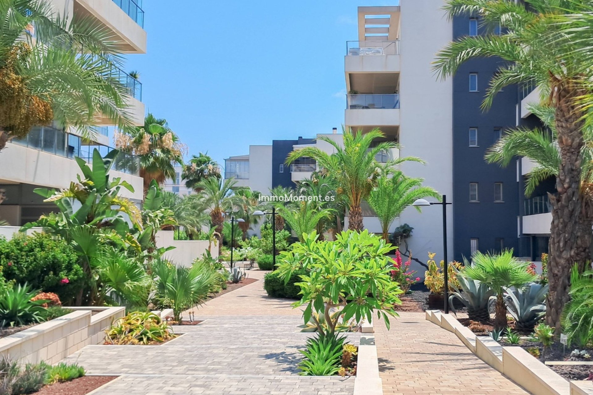 Wiederverkauf - Wohnung - Orihuela Costa - Los Dolses