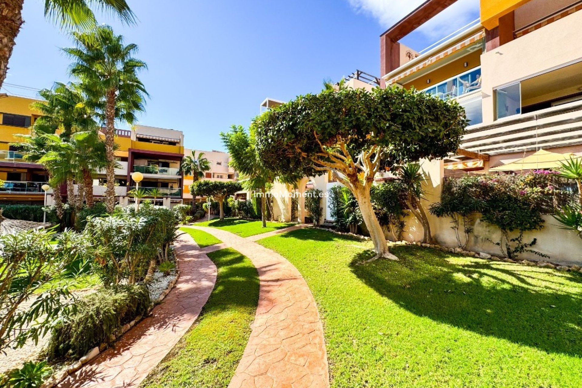 Wiederverkauf - Wohnung - Orihuela Costa - Playa Flamenca