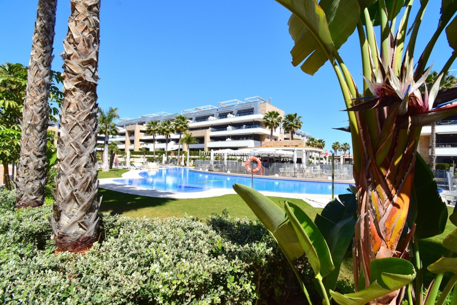 Wiederverkauf - Wohnung - Orihuela Costa - Playa Flamenca