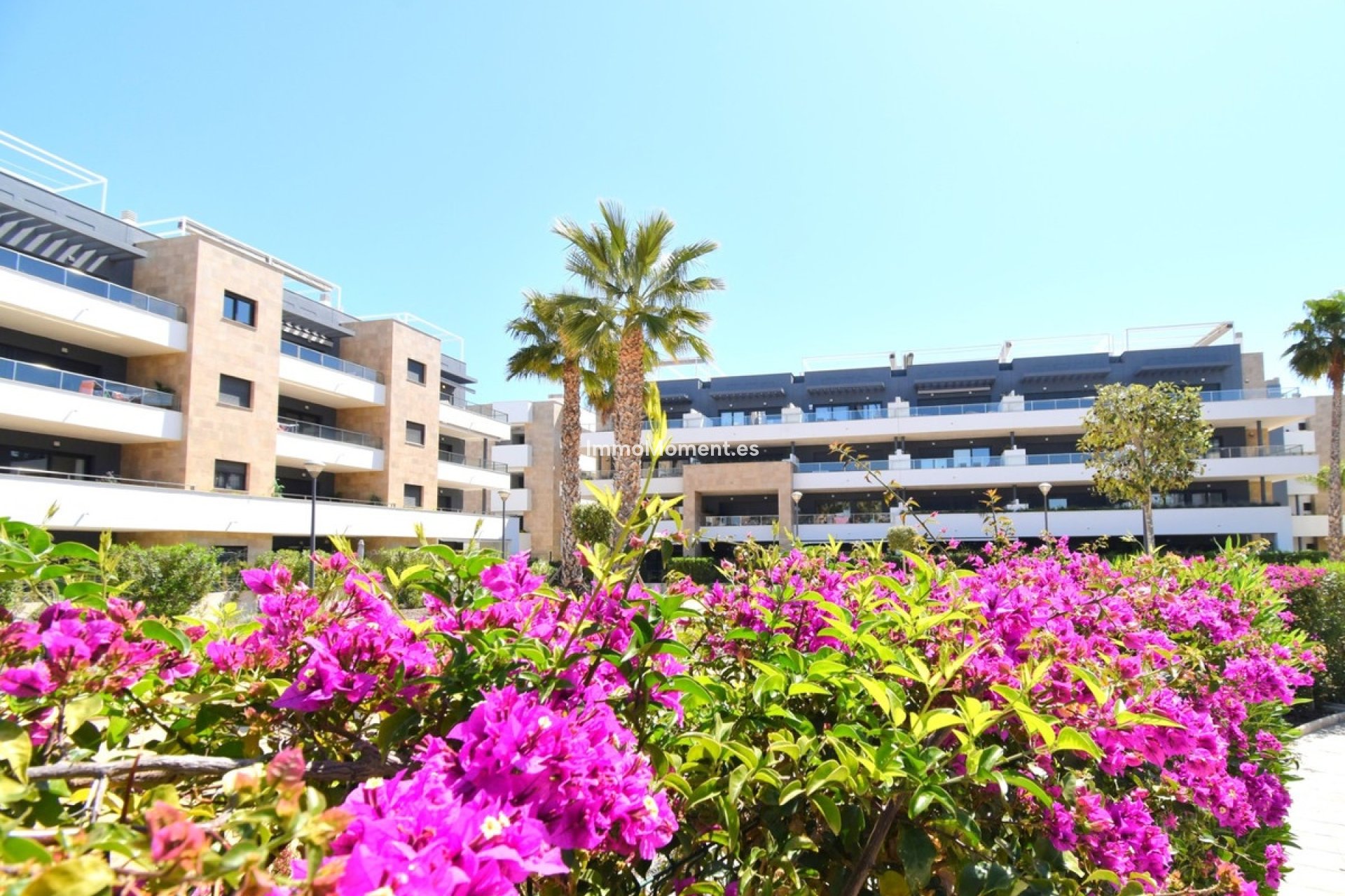 Wiederverkauf - Wohnung - Orihuela Costa - Playa Flamenca
