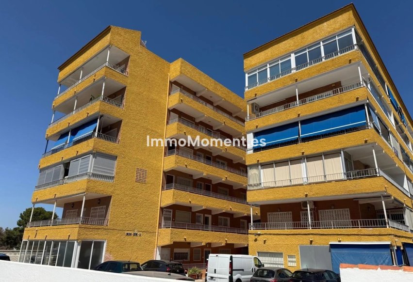 Wiederverkauf - Wohnung - Orihuela Costa - Punta Prima