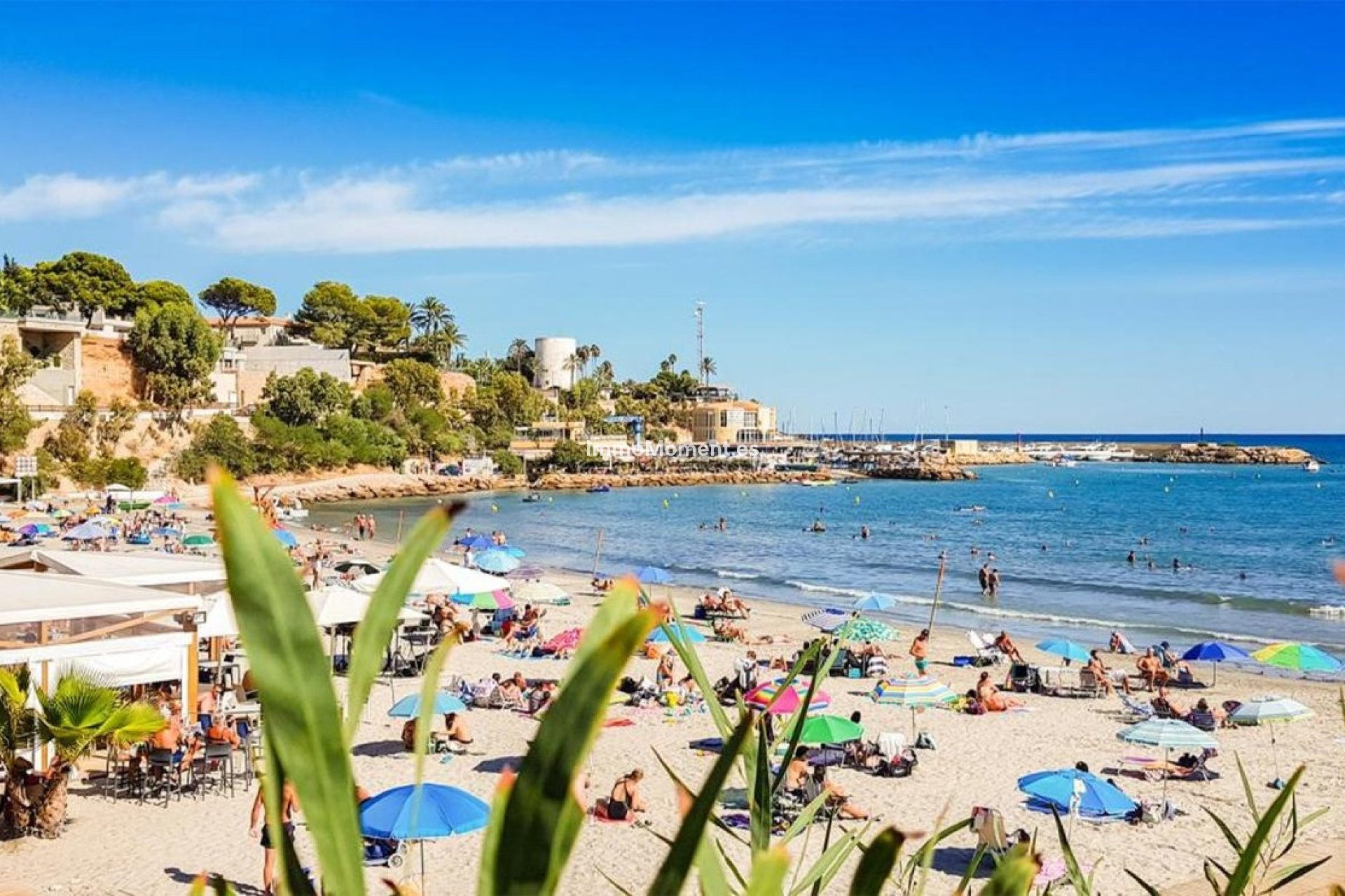 Wiederverkauf - Wohnung - Orihuela Costa - Villamartín