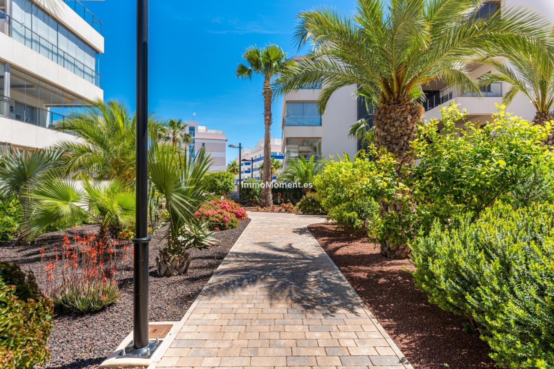 Wiederverkauf - Wohnung - Orihuela Costa - Villamartín