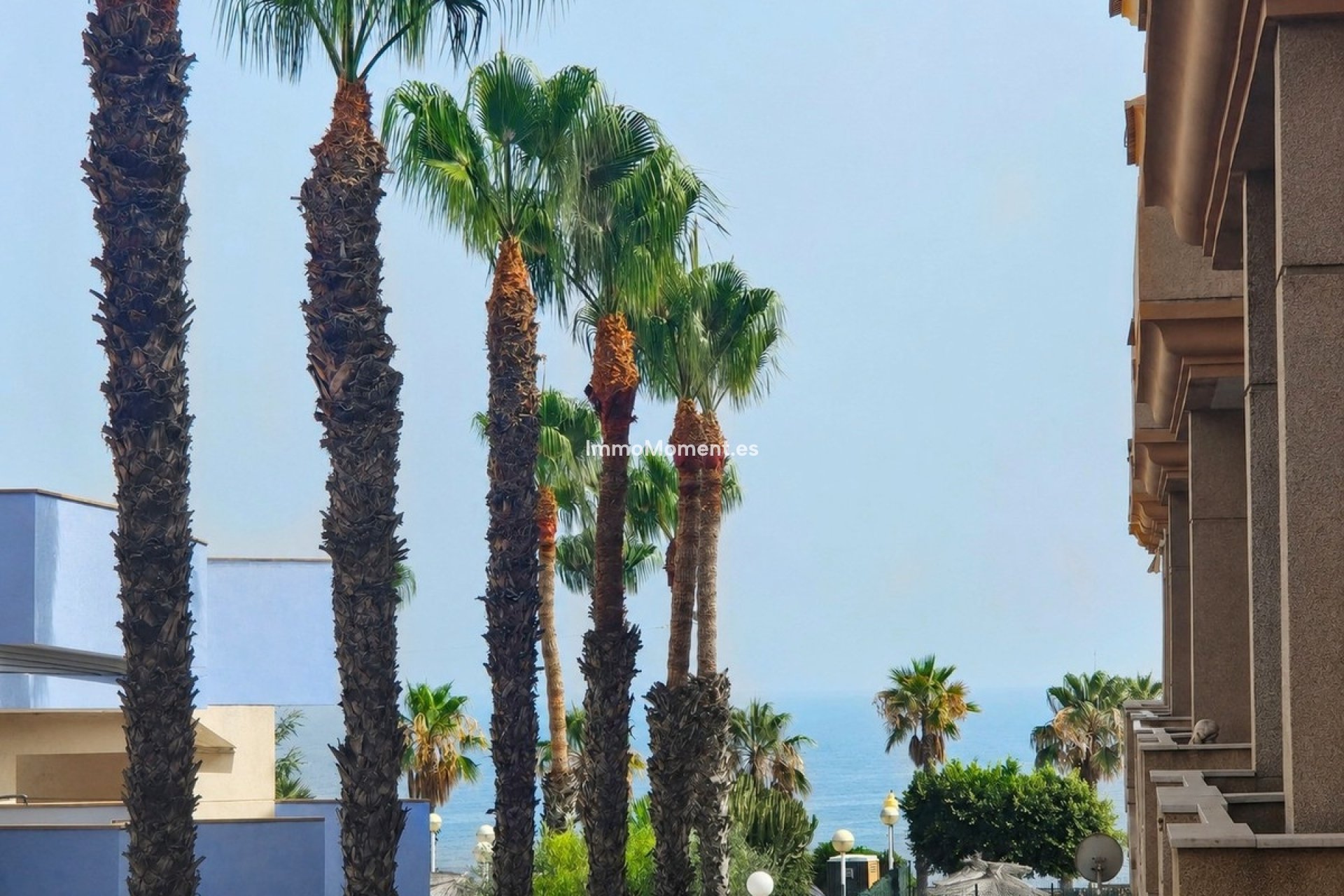 Wiederverkauf - Wohnung - Orihuela Costa