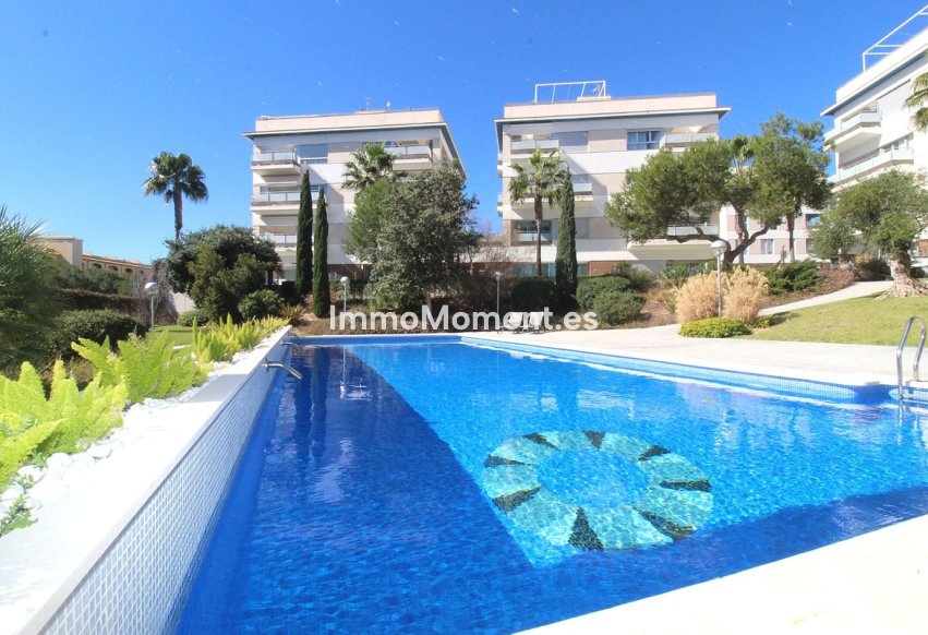 Wiederverkauf - Wohnung - Orihuela - La Zenia