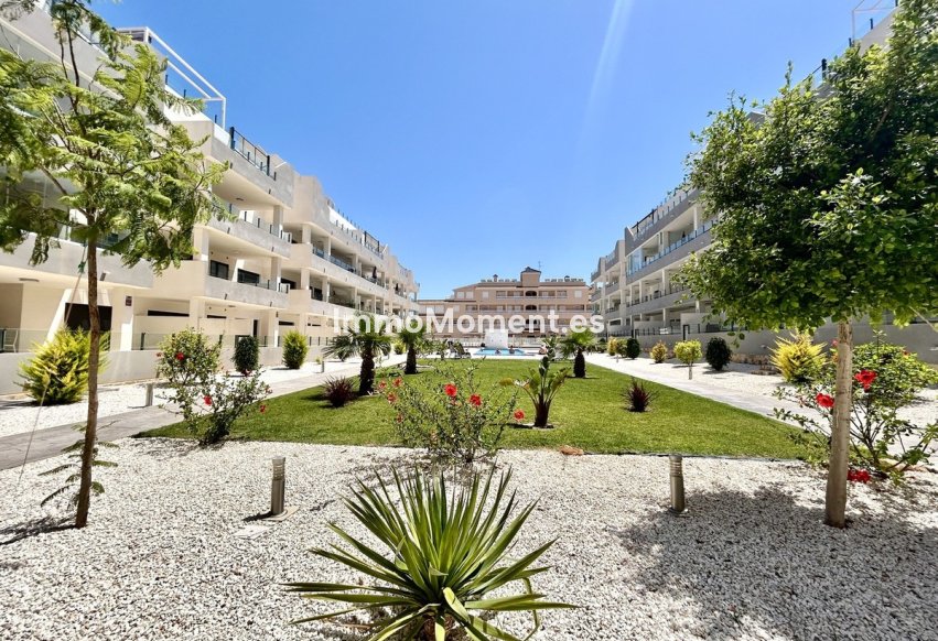 Wiederverkauf - Wohnung - Orihuela - Los Dolses