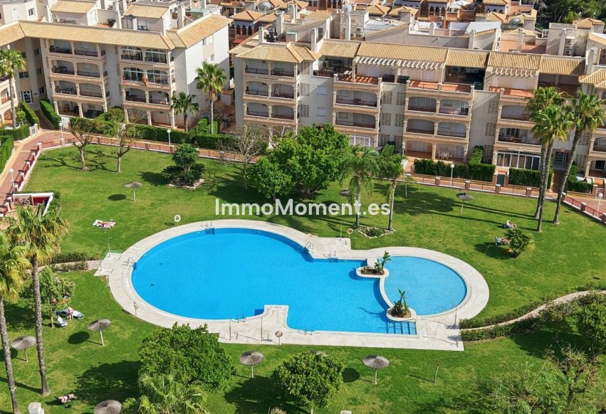 Wiederverkauf - Wohnung - Orihuela - Orihuela Centro