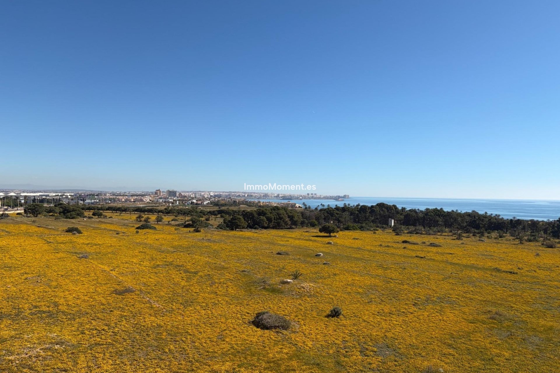 Wiederverkauf - Wohnung - Orihuela - Punta Prima