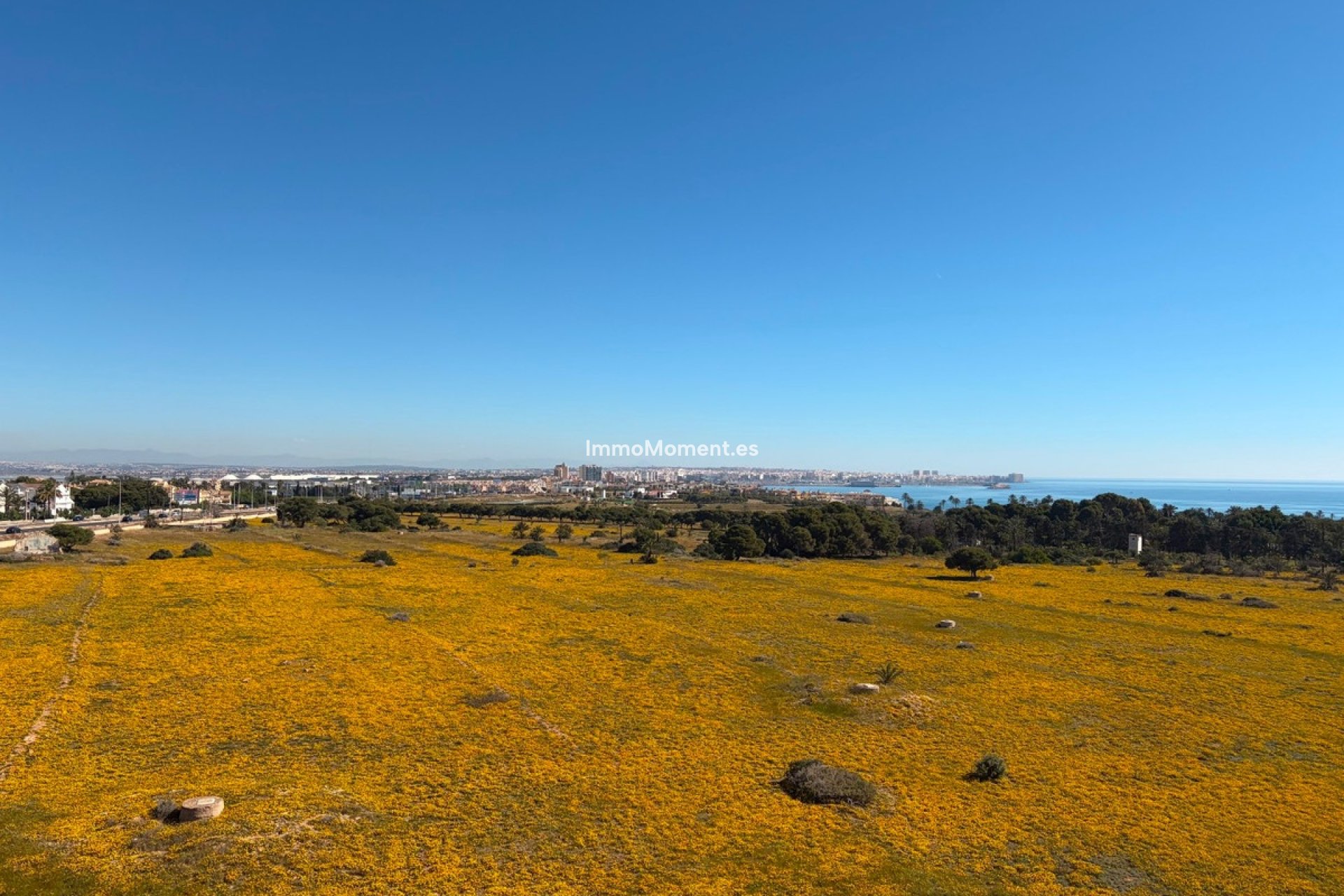 Wiederverkauf - Wohnung - Orihuela - Punta Prima