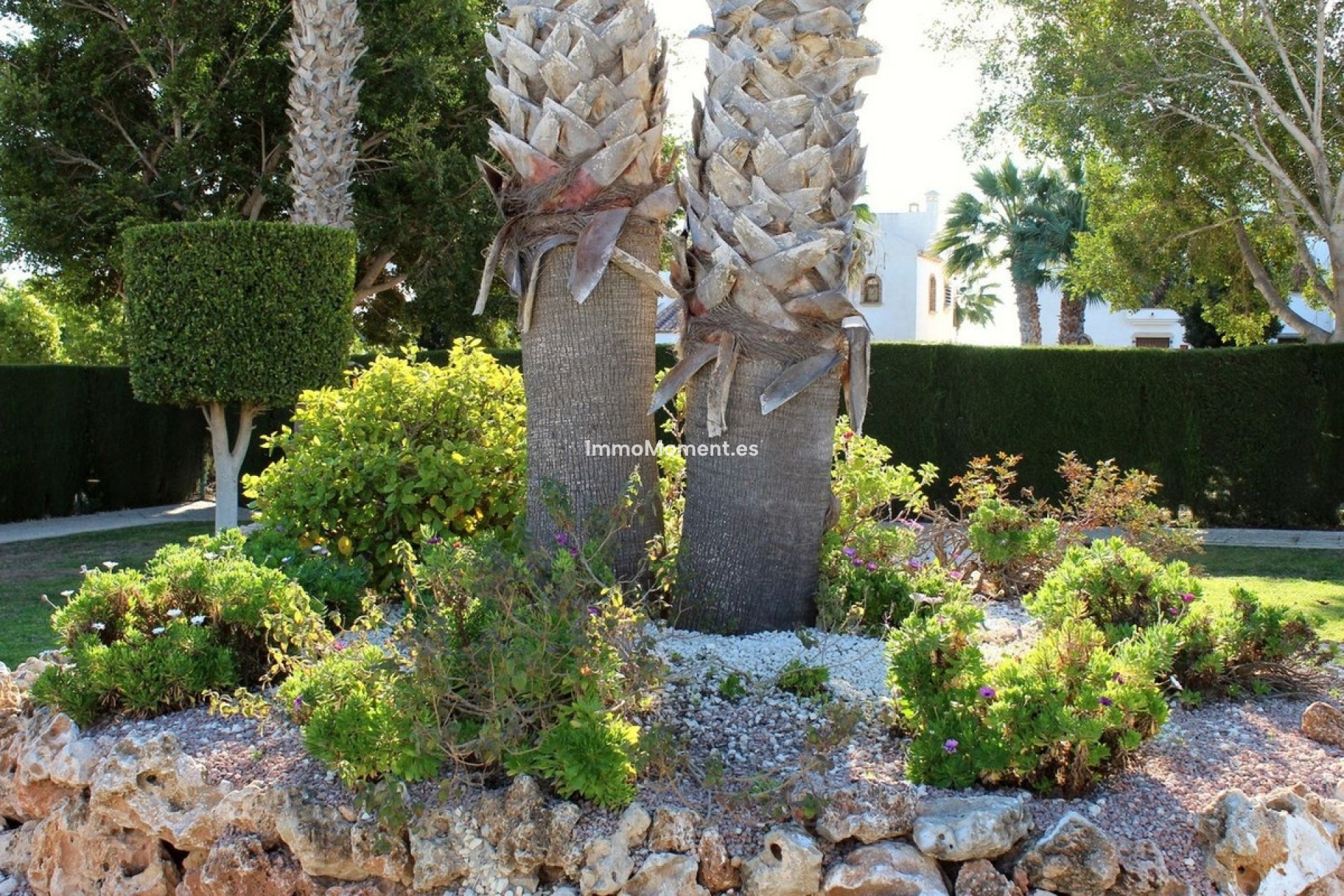 Wiederverkauf - Wohnung - Orihuela - Villamartin