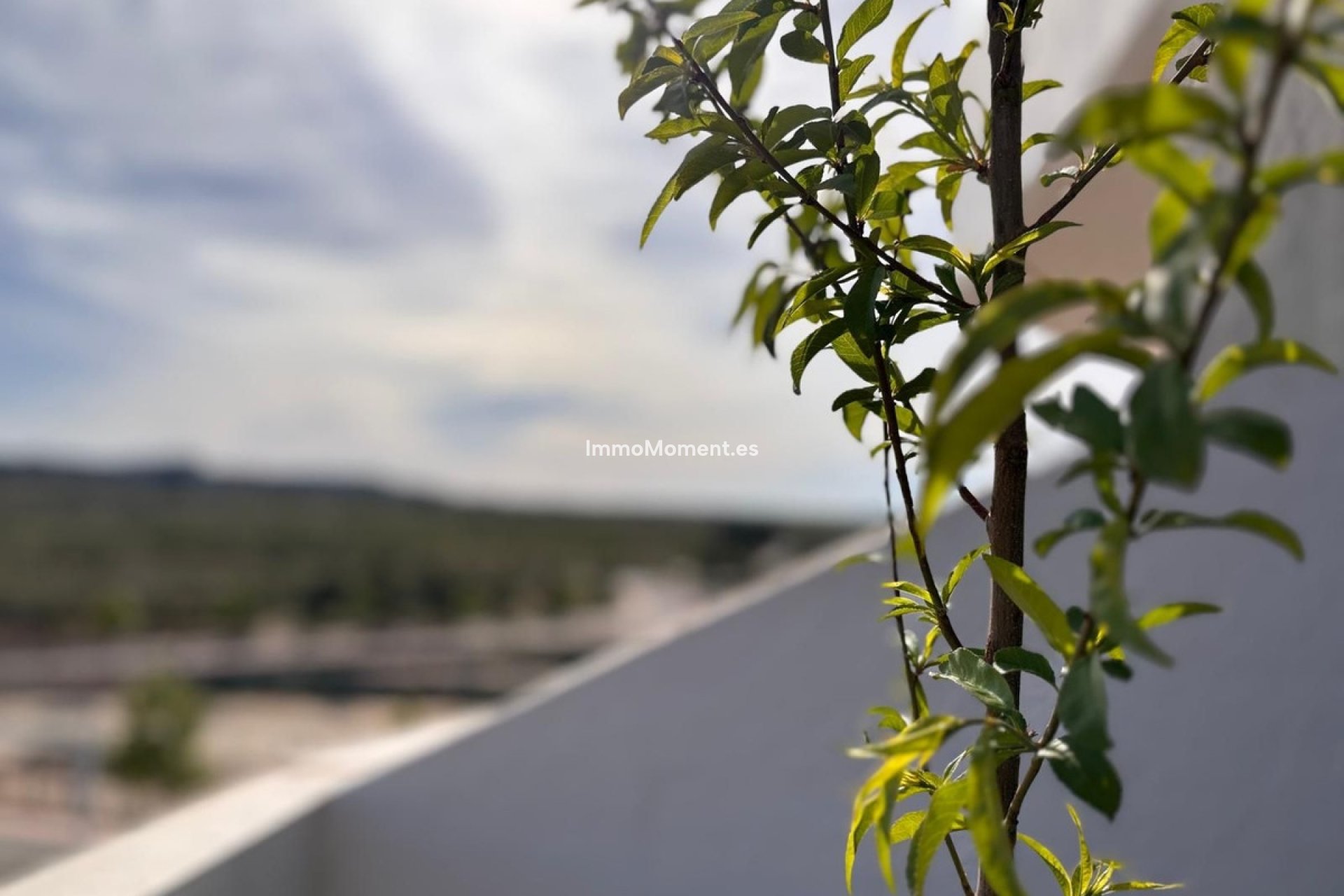 Wiederverkauf - Wohnung - San Miguel de Salinas - San Miguel de Salinas Centro