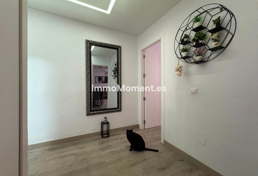 Wiederverkauf - Wohnung - Torrevieja - Torrevieja Centro