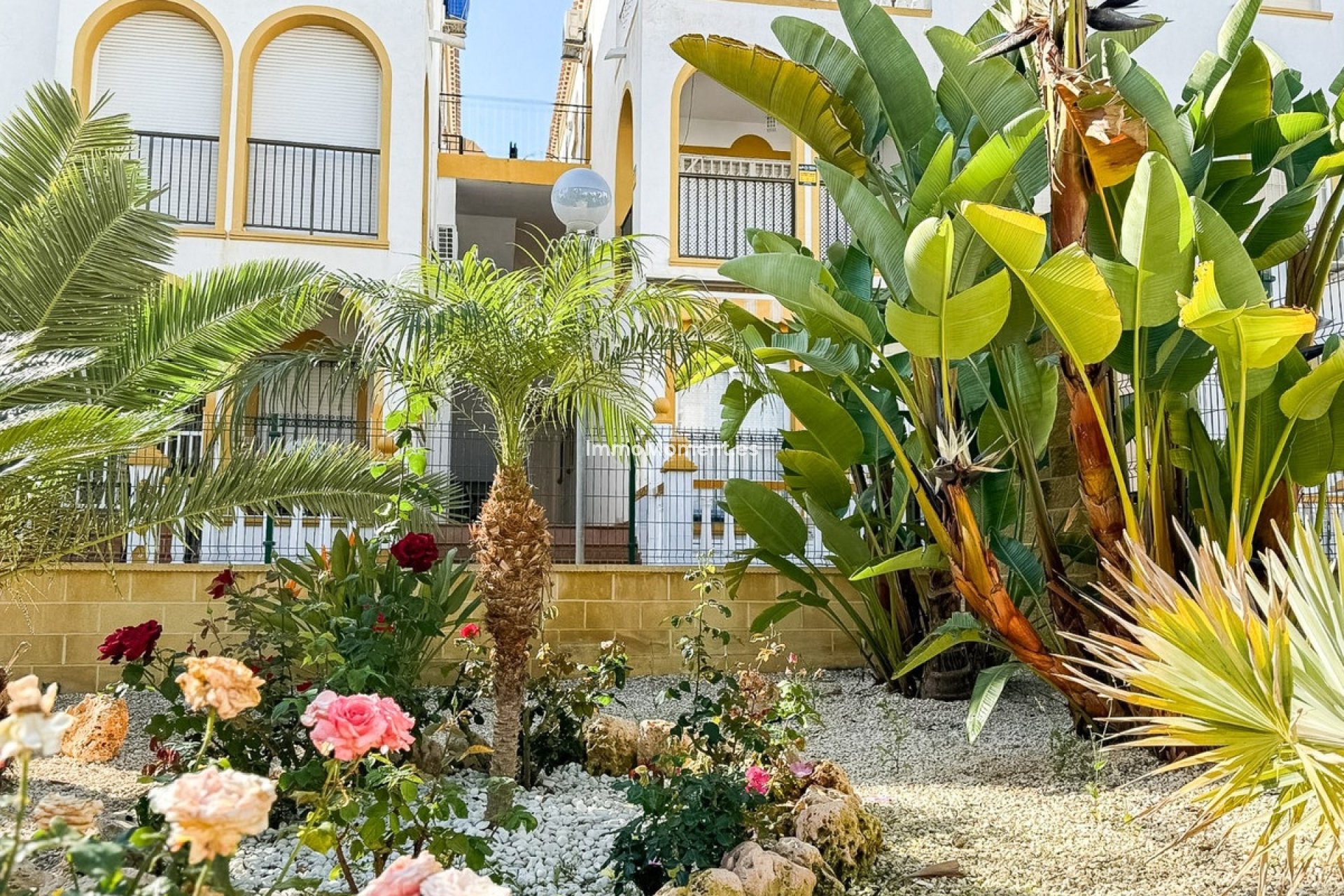 Wiederverkauf - Wohnung - Torrevieja - Torrevieja Centro