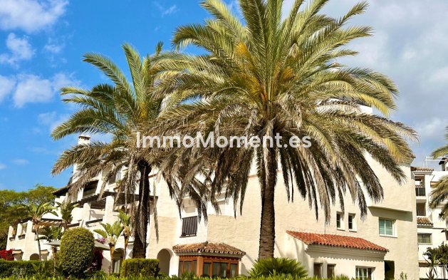 Wohnung - Langzeitvermietung - San Pedro de Alcántara - San Pedro de Alcántara