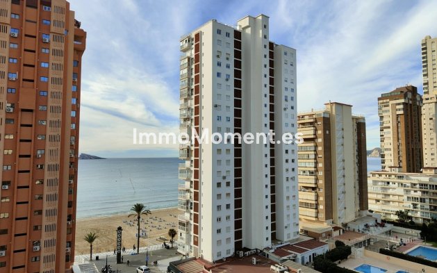 Wohnung - Wiederverkauf - Benidorm - Benidorm Centro