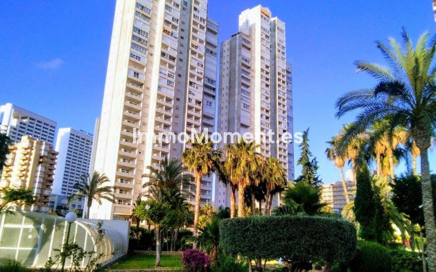 Wohnung - Wiederverkauf - Benidorm - Benidorm Centro