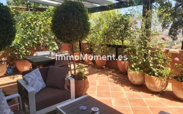 Wohnung - Wiederverkauf - Marbella - Marbella Centro