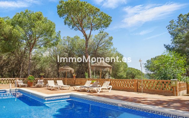 Wohnung - Wiederverkauf - Marbella - Nueva Andalucía