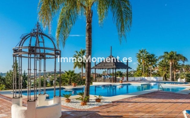 Wohnung - Wiederverkauf - Marbella - Nueva Andalucía