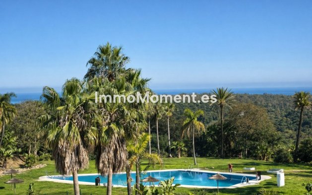 Wohnung - Wiederverkauf - Sotogrande - San Roque