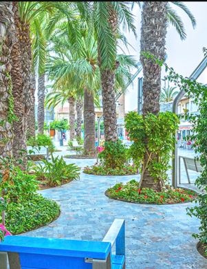 San Pedro del Pinatar