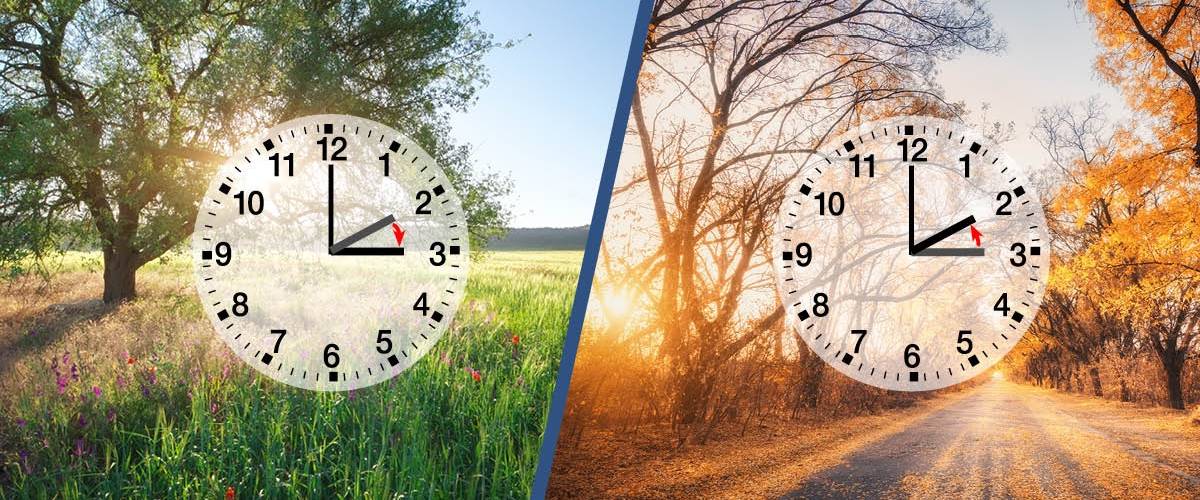 Residencial Plus Jazmines - Villa Delfín