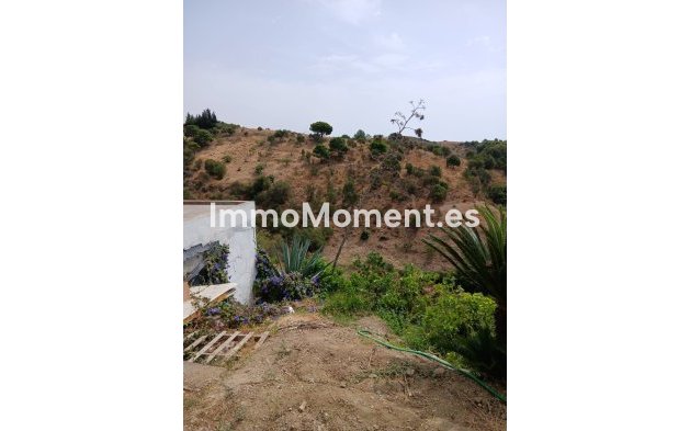 Reventa - Casa de campo - Estepona  - Estepona Centro