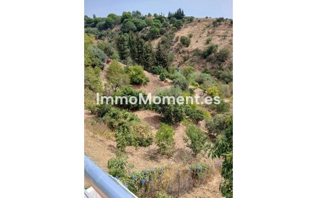 Reventa - Casa de campo - Estepona  - Estepona Centro