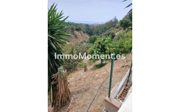 Reventa - Casa de campo - Estepona  - Estepona Centro
