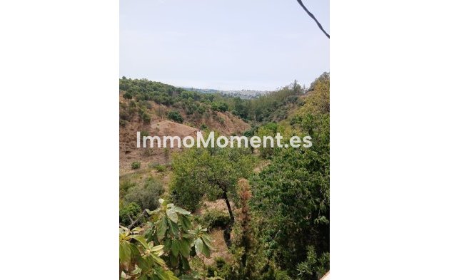 Reventa - Casa de campo - Estepona  - Estepona Centro