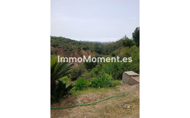 Reventa - Casa de campo - Estepona  - Estepona Centro