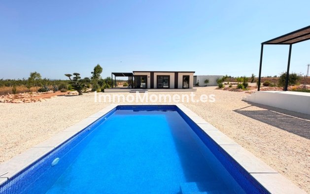 Wiederverkauf - Freistehende Villa - Pinoso - Pinoso Centro