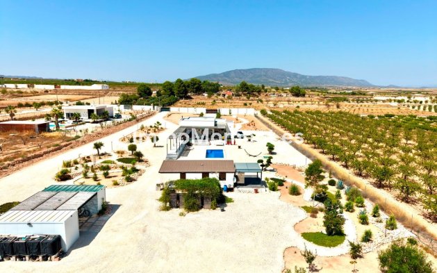 Wiederverkauf - Freistehende Villa - Pinoso - Pinoso Centro