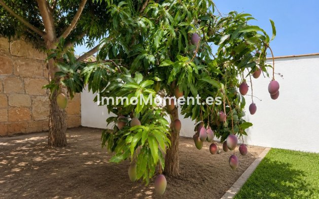 Resale - Detached villa - Estepona - Estepona Centro