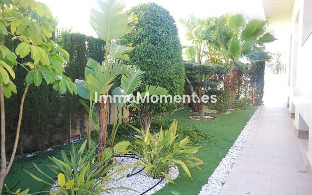 Wiederverkauf - Freistehende Villa - Orihuela Costa - Cabo roig - La Zenia