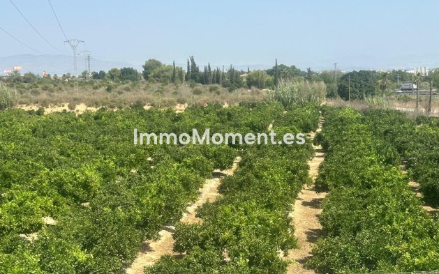 Bestaande woning - Vrijstaande villa - Algorfa - Algorfa Centro