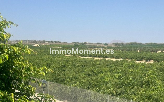 Bestaande woning - Vrijstaande villa - Algorfa - Algorfa Centro