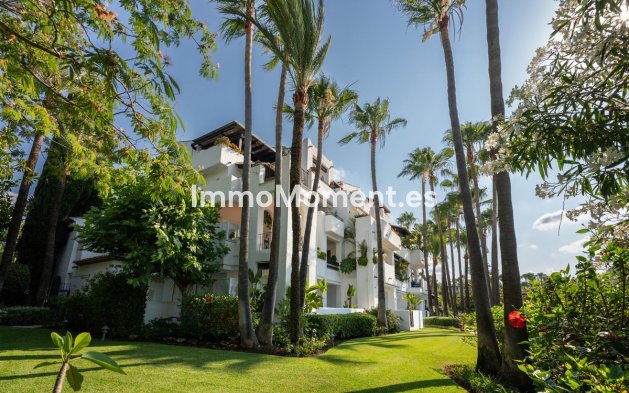 Wiederverkauf - Wohnung - Marbella - The Golden Mile