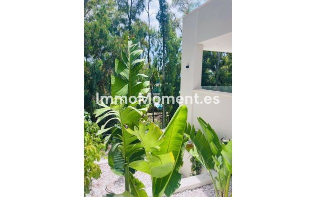 Wiederverkauf - Freistehende Villa - Marbella - Nueva Andalucía