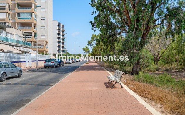 Wiederverkauf - Wohnung - Guardamar del Segura - Guardamar del Segura Centro