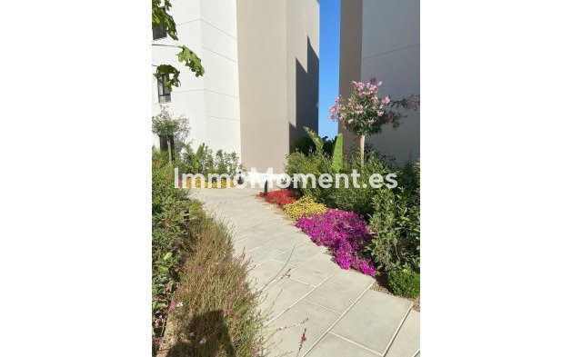 Revente - Appartement - Marbella - Nueva Andalucía