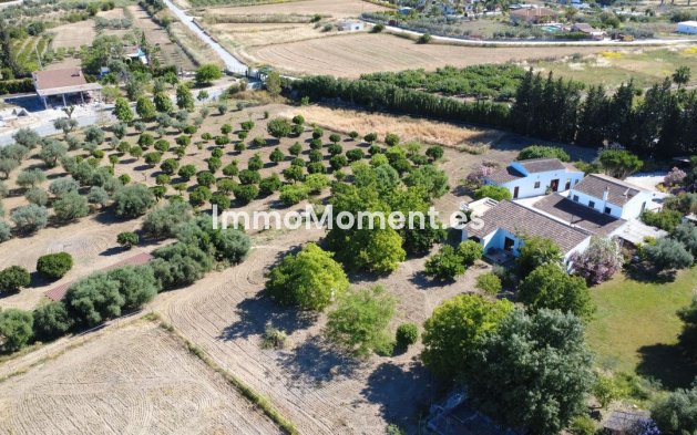 Revente - Maison de campagne - Intérieur                       - Alhaurín el Grande Centro