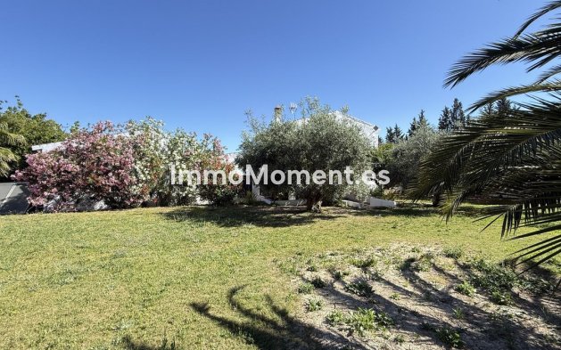 Revente - Maison de campagne - Intérieur                       - Alhaurín el Grande Centro